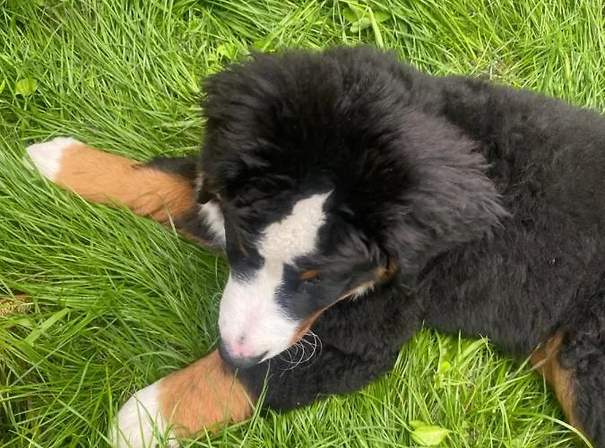 New G&p - Free Parking Апартаменти